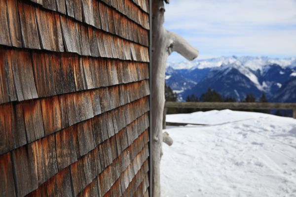 Cedar Siding Repair in Longmont