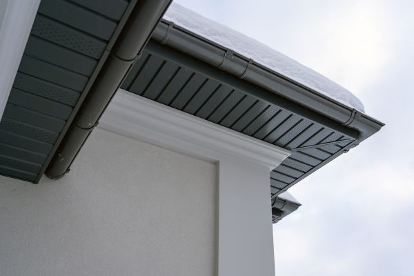 Cost of Siding Trim Repair in Longmont