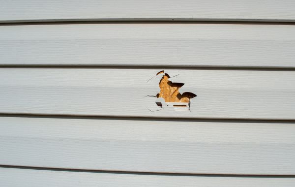 Siding Hole Patching in Longmont