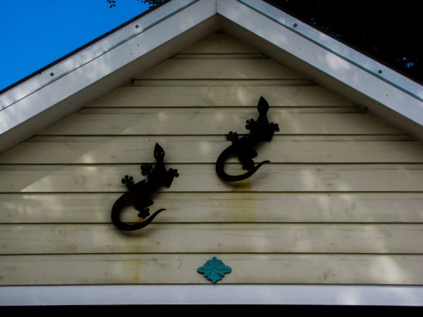 Cost of Shiplap Siding Installation in Longmont