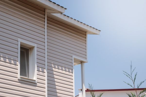 Cost of Vinyl Siding Hole Repair in Longmont